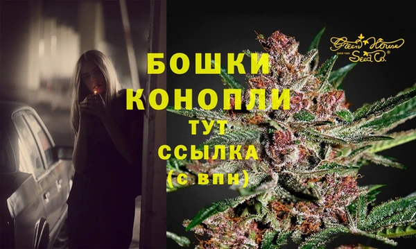 PSILOCYBIN Вязники