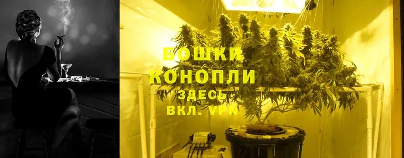 МАРИХУАНА THC 21%  как найти закладки  маркетплейс какой сайт  Кызыл 